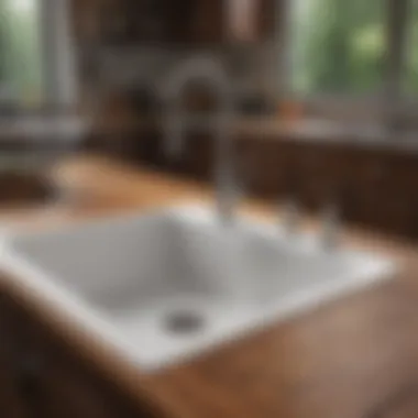 Troubleshooting Techniques for Kitchen Sinks Troubleshooting kitchen sink issues
