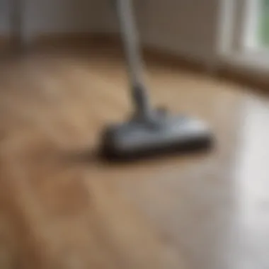 Effortless Cleaning of Laminate Floors Laminate floors being cleaned effortlessly