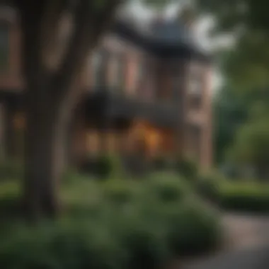 Lincoln Park: A Blend of Nature and Elegance A peaceful residential area featuring historic architecture in Lincoln Park.