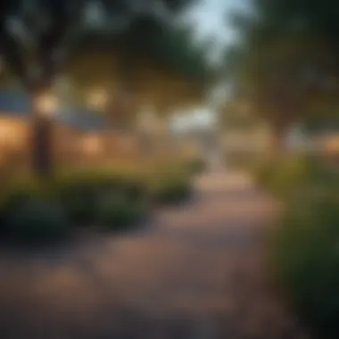 Vibrant community park in a town near Austin