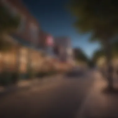 Local Amenities and Vibrant Shopping Scenes Local amenities and shopping area in a town near Austin