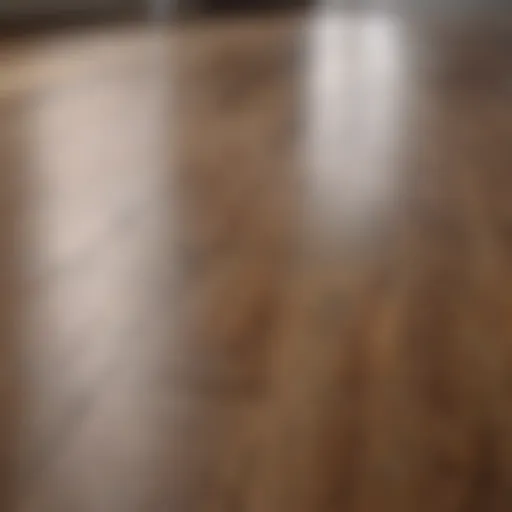 Shining laminate floor after cleaning