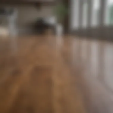 Shining laminate wood floor after cleaning