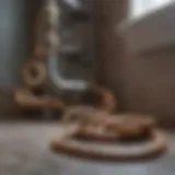 Different types of plumbing snakes