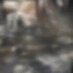 Close-up of dishwasher interior showcasing food particles and residue