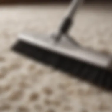 Close-up of cleaning materials for shaggy rugs including brushes and solutions