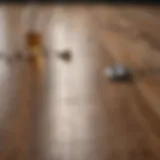 Natural cleaning ingredients for laminate floors