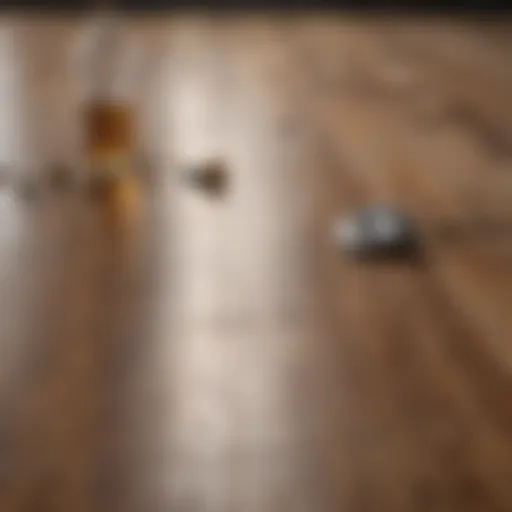Natural cleaning ingredients for laminate floors