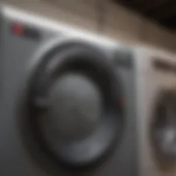 Dryer lint trap cleaning