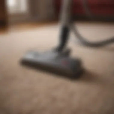 Before and after carpet cleaning comparison