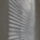 A close-up of clean, pristine window blinds with sunlight filtering through