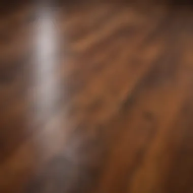 Close-up view of stained hardwood floor