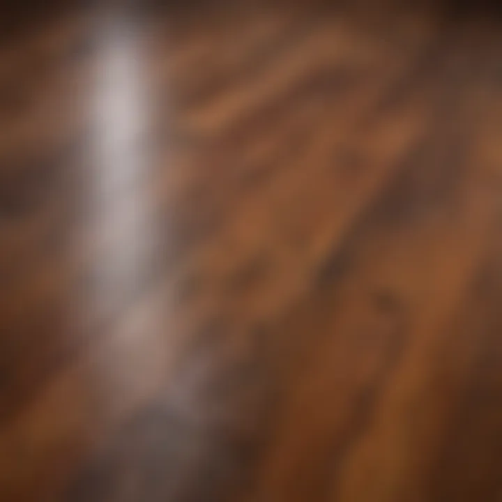 Close-up view of stained hardwood floor