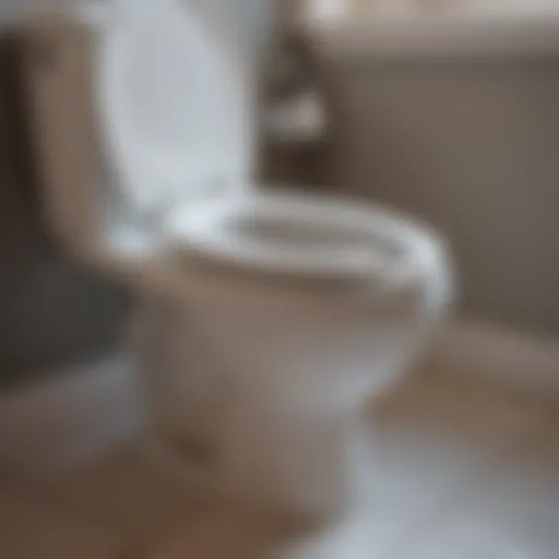 Close-up view of a toilet bowl with visible blockage