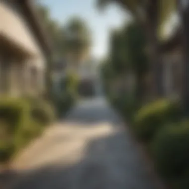 Serene Neighborhood Vibes Charming residential street in a tranquil Los Angeles neighborhood