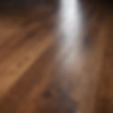 Close-up of a hardwood floor with a visible stain