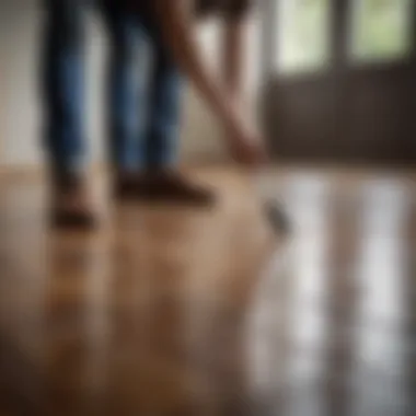 Person applying vinegar solution carefully on wood floor