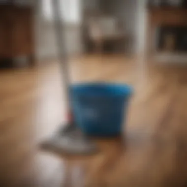 Tools for maintaining wood floors including a mop and bucket