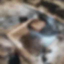 Clogged sink with visible debris