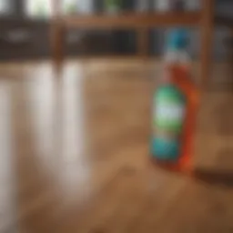 An array of eco-friendly cleaning products on a polished hardwood floor