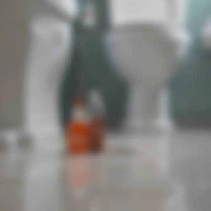 Chemical drain cleaner being applied to a toilet drain