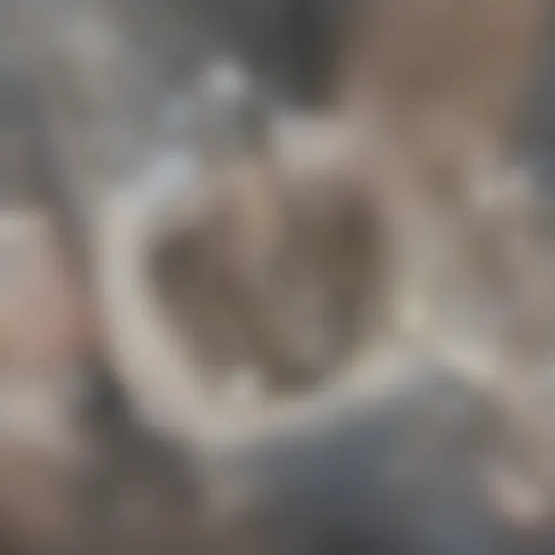 A close-up of a plunger ready for use on a toilet drain