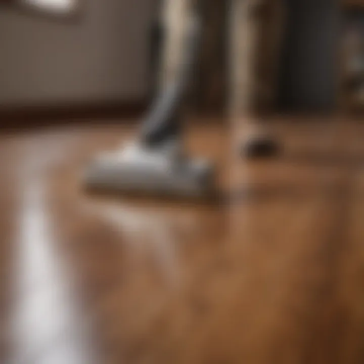 Demonstration of applying cleaning solution to hardwood