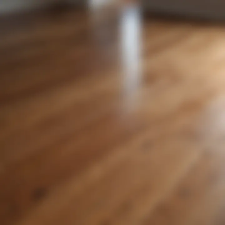 Shiny and clean hardwood floor after stain removal