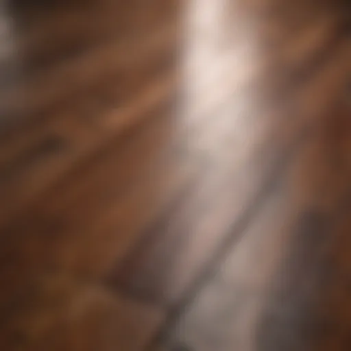 Close-up view of a stained hardwood floor