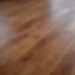 A pristine hardwood floor reflecting light