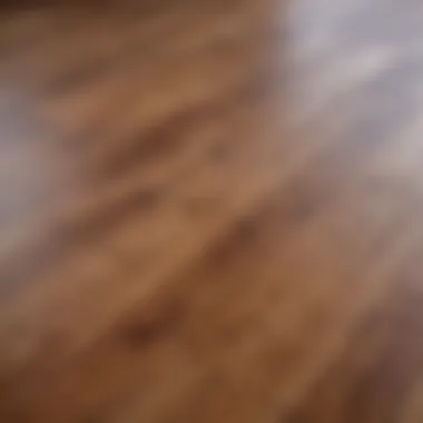 A pristine hardwood floor reflecting light