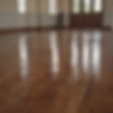 Commercial product for stain removal on hardwood