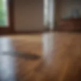 Natural cleaning agent for hardwood floors