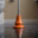 A plunger poised for action near a toilet