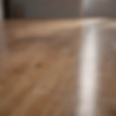 Sparkling Clean Laminate Floor Sparkling clean laminate floor