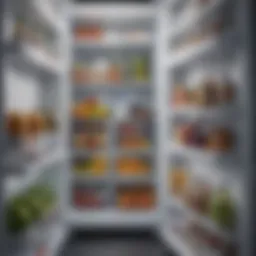 Clean refrigerator interior showcasing organized shelves