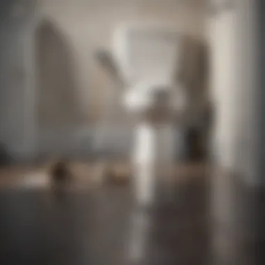 Plunger and Toilet Brush on Bathroom Floor