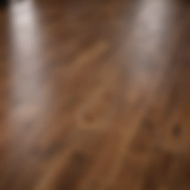 Close-up of deep-cleaned hardwood floor showcasing its natural shine