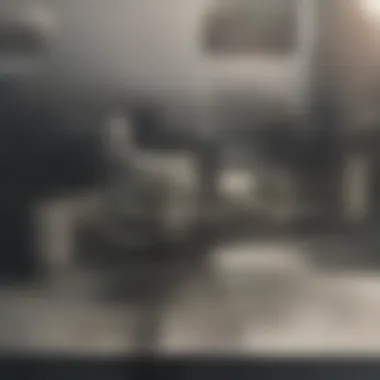 Cleaning agent bottles arranged on a kitchen counter