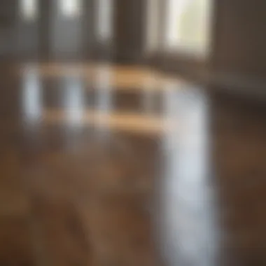 Showcasing a Pristine Laminate Floor Pristine laminate floor showcasing its shine