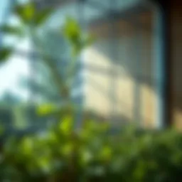 Natural cleaning solutions for window care