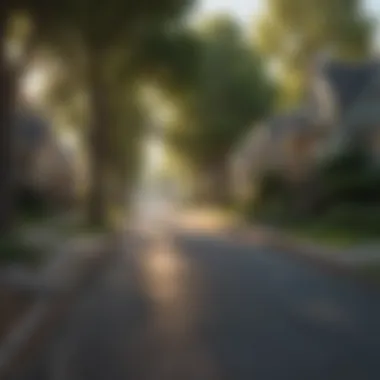 A peaceful neighborhood street with trees and well-maintained houses.