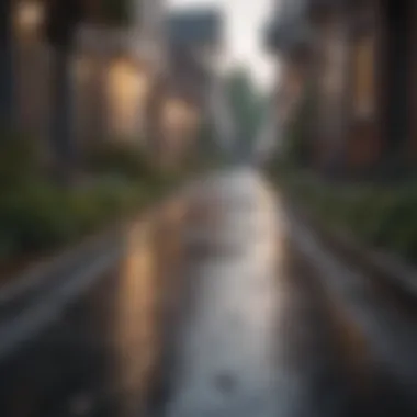 A peaceful neighborhood street