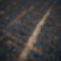 Aerial view of Boston showcasing various neighborhoods.