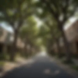 Charming residential street lined with trees in a San Antonio neighborhood