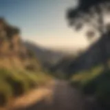 Scenic view of Runyon Canyon trails