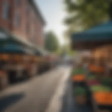 A lively farmers' market in Washington, D.C.