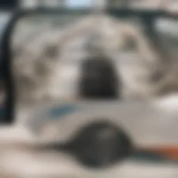 Charming duplex exterior in a Denver neighborhood