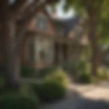 Charming residential streets in Washington Park