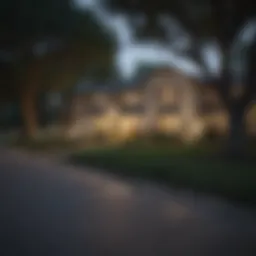 Charming residential street lined with trees in a San Antonio neighborhood